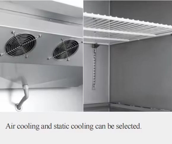 Commercial Single-Temperature Stainless Steel Workbench Large-Capacity Freezer Refrigerator for Fresh-Maintained Milk Tea Shops