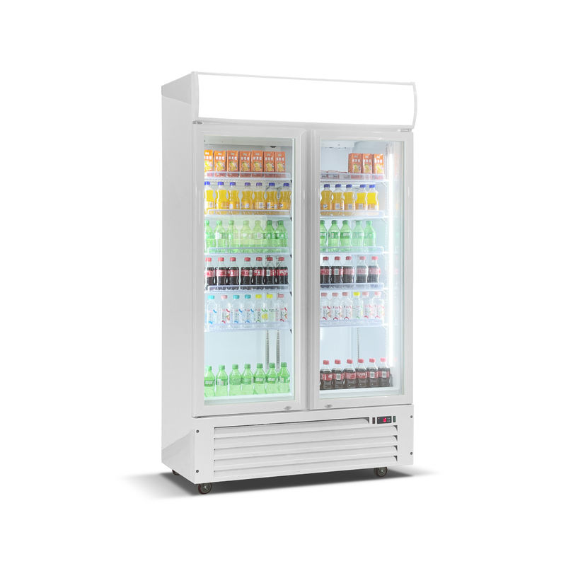 Large Capacity Double Door Beverage Cooler: Keep Your Drinks Fresh and Ready for Sale